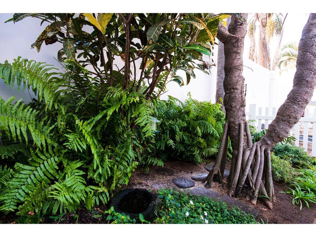 Bed and Breakfast Flamingo Rocks Durban Zewnętrze zdjęcie